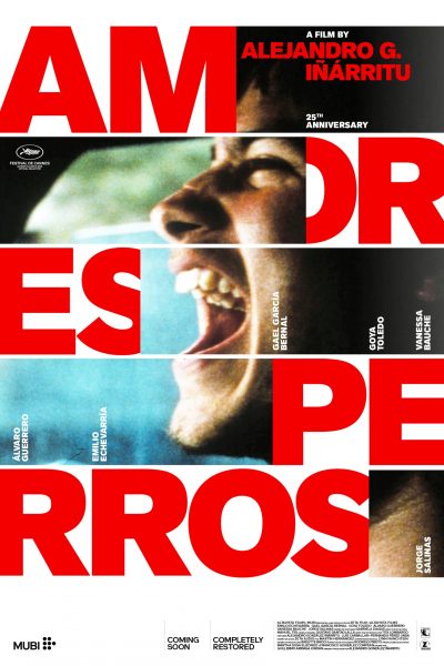 Amores Perros